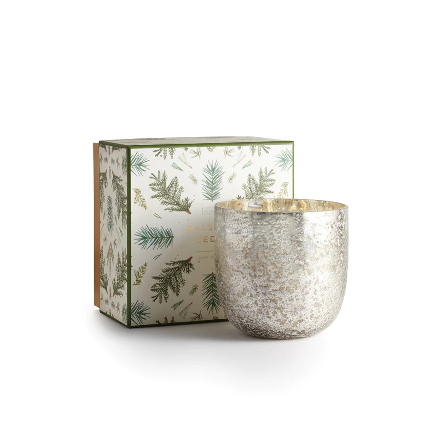Balsam & Cedar Boxed Candle - Medium