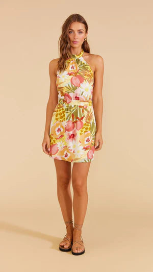 Domenica Mini Dress