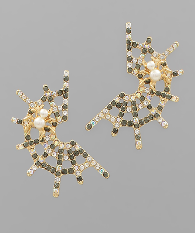 Spiderweb Earrings