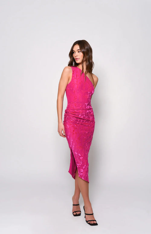 Monty Dress in Velvet Burnout