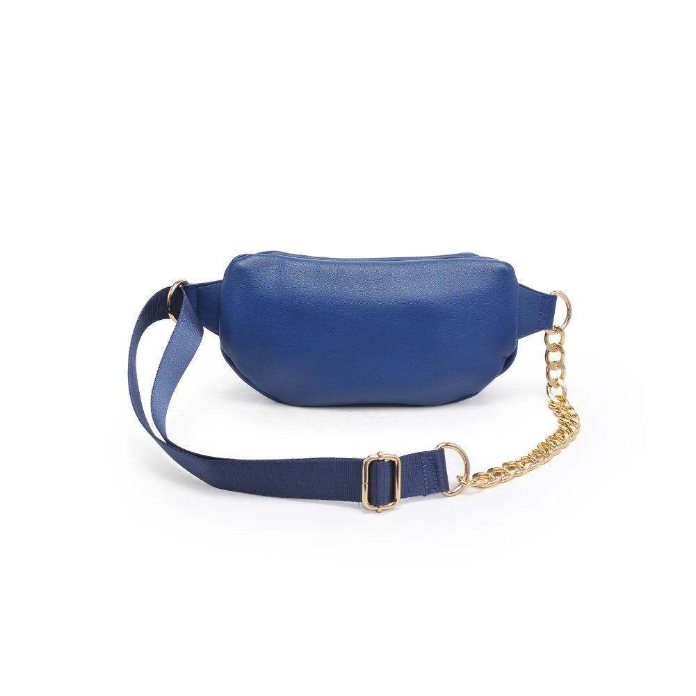 Celine on sale fanny pack