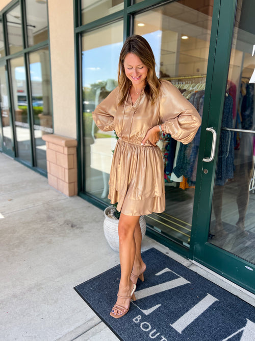Shimmer Flounce Dress