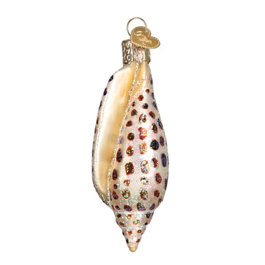 Junonia Shell Ornament